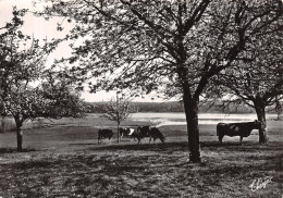 87-ENVIRON DE NANTIAT-N°4202-C/0187 - Sonstige & Ohne Zuordnung