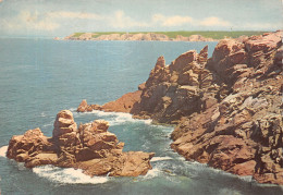 29-LA POINTE DU RAZ-N°4202-C/0097 - La Pointe Du Raz