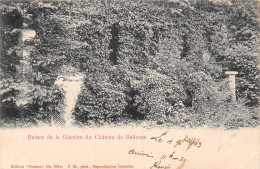 92-RUINES DE LA GLACIERE DU CHÂTEAU DE BELLEVUE-N°5147-H/0137 - Andere & Zonder Classificatie