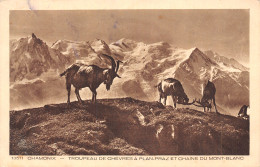 74-CHAMONIX-N°5147-G/0397 - Chamonix-Mont-Blanc