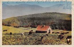 15-LE CANTAL PATURAGE-N°5147-G/0255 - Autres & Non Classés