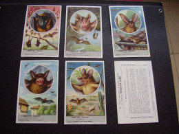 Original Old Cards Chromos Liebig S 1616 Complet - Liebig