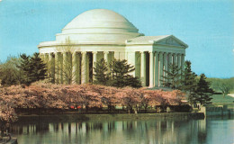 ETATS-UNIS - The Thomas Jefferson Memorial - Cherry Blossom Time - Washington D C - Carte Postale - Washington DC