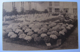 BELGIQUE - FLANDRE ORIENTALE - GENT (GAND) - Les Floralies De 1928 - Gent