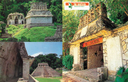 MEXIQUE - Palenque - Zona Arqueologica De Palenque Y Retaurante La Selva - Colorisé - Carte Postale - Mexico