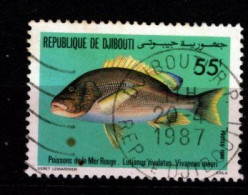 - DJIBOUTI - 1986 - YT N° 624 - Oblitérés - Poisson De Mer Rouge - Dschibuti (1977-...)