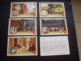 Original Old Cards Chromos Liebig S 1614 Complet - Liebig