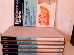 Konvolut: 6 Bände Farbatlanten Der Medizin (The Ciba Collection Of Medical Illustrations). - Salute & Medicina