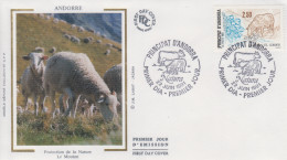 Enveloppe  FDC  1er  Jour  ANDORRE   Protection  De  La  Nature  :  Le  Mouton   1991 - FDC