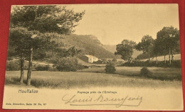 HOUFFALIZE  - Paysage Près De L'Ermitage   -  1903 - Houffalize