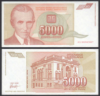 Jugoslawien - YUGOSLAVIA - 5000 Dinara 1993 XF (2) - Pick 128    (28253 - Yougoslavie