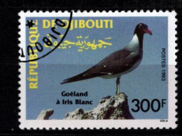- DJIBOUTI - 1993 - YT N° 702 - Oblitéré - Goeland - Gibuti (1977-...)
