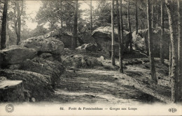 CPA Forêt De Caruelle Fontainebleau Val D'Oise, Gorges Aux Loups - Andere & Zonder Classificatie