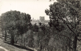 ESPAGNE - Sevogia - El Alcazar Visto Desde El Pinar - Carte Postale - Segovia