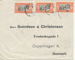 A.O.F. Senegal Cover Sent To Denmark 1924 - Brieven En Documenten