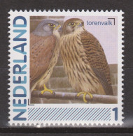 Nederland Netherlands Pays Bas MNH Roofvogel Oiseau De Proie Ave De Rapina Bird Of Prey Falcon Faucon Cerricalo Valk - Águilas & Aves De Presa