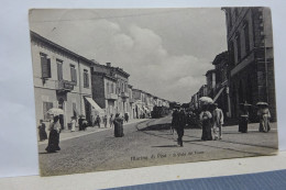 MARINA DI PISA  -- PISA  -- IL VIALE DEL TRAM - Pisa