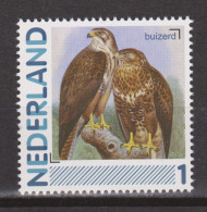 Nederland Netherlands Pays Bas MNH Roofvogel Oiseau De Proie Ave De Rapina Bird Of Prey Buizerd Buzzard Buse Ratonero - Aquile & Rapaci Diurni