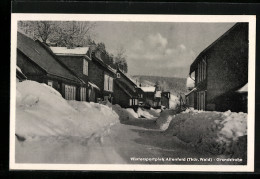 AK Altenfeld (Thür. Wald), Grundstrasse Im Schnee  - Andere & Zonder Classificatie