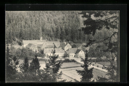 AK Luisenthal (Thür. Wald), Ortsansicht Von Einem Berg Aus  - Andere & Zonder Classificatie