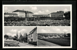 AK Hilter /Teutoburger Wald, Schule Mit Walter Rau-Turnhalle, Natruper Strasse, Rankenbach-Siedlung  - Other & Unclassified