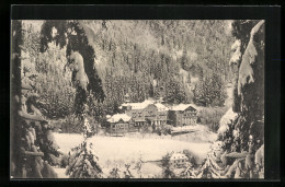 AK St. Blasien Im Südl. Schwarzwald, Sanatorium Für Leichtlungenkranke Im Winter  - St. Blasien