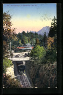 AK Brünigbahn An Der Passhöhe Mit Station Im Hintergrund  - Other & Unclassified