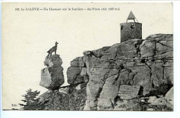 CPA 9 X 14 Haute Savoie LE SALEVE  Un Chamois Sur La Sorcière - Au Piton - Other & Unclassified