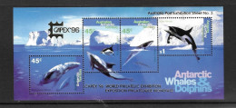 Australian Antarctic Territory 1995 MNH Whales & Dolphins MS 112 Opt Capex 96 - Ongebruikt