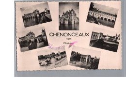 CHENONCEAUX 37 - Le Château Vue D'ensemble Carte Vierge - Chenonceaux