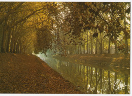 Le Canal Du Midi - Other & Unclassified