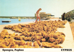 CHYPRE - Sponges Paphos - Animé - Colorisé - Carte Postale - Cipro