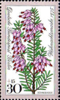 Berlin Poste N** Yv:479 Mi:514 Schneeheide Erica Carnea - Unused Stamps