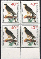 Berlin Poste N** Yv:409 Mi:444 Jugendmarke Sperber Bloc De 4 Bord De Feuille - Unused Stamps