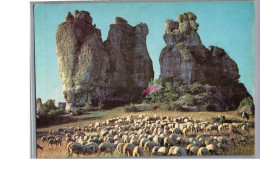 ROQUESALTES 12 - Le Donjon Rocher Devant Un Troupeau De Mouton Blanc - Altri & Non Classificati