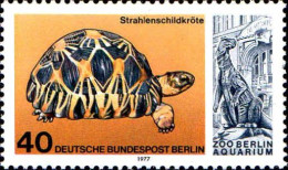 Berlin Poste N** Yv:516 Mi:554 Testudo Radiata (Thème) - Schildkröten