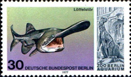 Berlin Poste N** Yv:515 Mi:553 Polyodon Spathula (Thème) - Fische