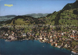 11889647 Weggis Vierwaldstaettersee Am Vierwaldstaettersee Fliegeraufnahme Weggi - Altri & Non Classificati