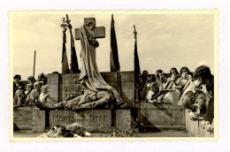 Thy-Le-Château : Carte Photo, Monument Des Morts Pour La Patrie - Animée (F8004) - Walcourt