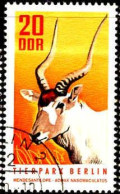 Rda Poste Obl Yv:1310 Mi:1619 Mendesantilope Addax Nasomaculatus (Beau Cachet Rond) - Gebruikt