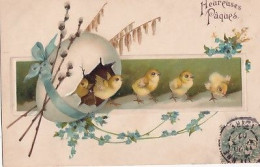 LA SORTIE DES POUSSINS DE L OEUF     CARTE EN RELIEF - Easter