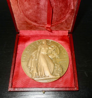 MEDAILLE BRONZE MERITE ET FIDELITÈ - Altri & Non Classificati