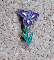 Pin's - Fleur Violette Et Jaune - Altri & Non Classificati