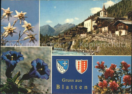11880997 Blatten VS Rothoerner Loetschental Blume Blatten - Altri & Non Classificati