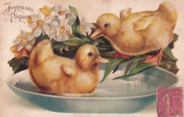 LES 2 PETITS CANARDS     CARTE EN RELIEF - Ostern