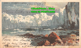 R417171 Alaska. Muir Glacier. W. R. Hearst. Picturesque America. Series. A. No. - Wereld