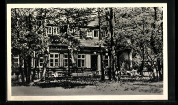 AK Wiesenfeld-Frankenberg Eder, Gasthaus Und Pension Frieda Hollmann  - Frankenberg (Eder)