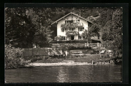 AK Tegernsee, Das Haus Friedl Am Ufer  - Tegernsee