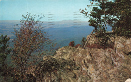 ETATS-UNIS - Panorama Of Shenandoah Valley - This View Was Taken From Near The Junction Of The Bleu Ridge- Carte Postale - Otros & Sin Clasificación