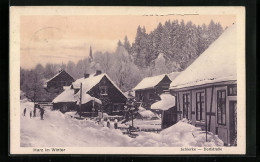 AK Schierke Im Harz, Die Dorfstrasse Im Schnee  - Schierke